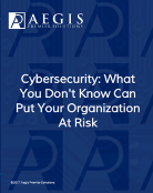 Cybersecurity: What You Don't Know Can Put Your Organization At Risk PDF guide